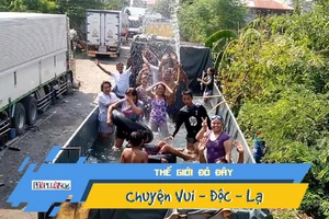 Video: Bể bơi tại gia độc đáo cho mùa nắng nóng