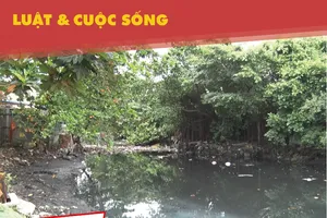 Dân than trời vì kênh rạch quá ô nhiễm