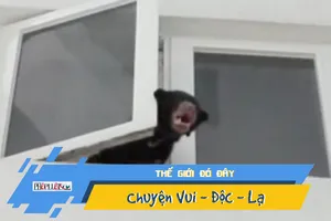 Video: Ca sĩ Malaysia bị bắt vì tưởng nhầm gấu là chó