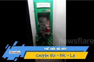 Video: Phát hiện kỳ đà khổng lồ 'đi rút tiền' ở máy ATM