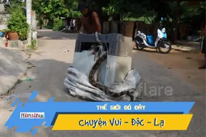 Hoảng hồn phát hiện trăn dài 3m trong máy giặt