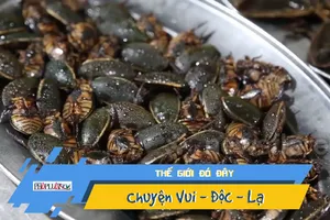 Rùng mình với món côn trùng hấp