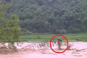 Chàng trai dũng cảm bơi ra giữa dòng lũ dữ cứu người