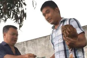 Video: Từ đá gà qua mạng đến sới gà thật ở Hóc Môn
