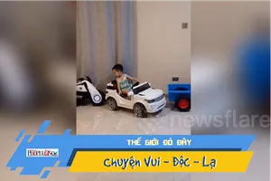 Choáng với kỹ năng đỗ xe của bé 4 tuổi