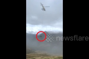 Lạ lùng dùng trực thăng giải cứu bò đau đẻ