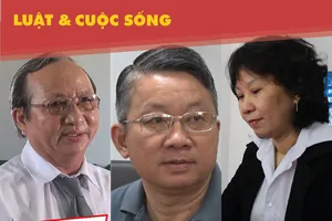 Cứu tinh của người dân gặp oan sai