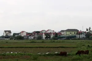 Chủ tịch xã Đô Thành nói về việc người dân đi lao động châu Âu