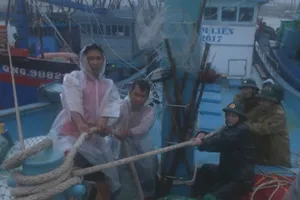 Video: Hơn 300 tàu trú bão số 6 ở cảng cá Sa Huỳnh