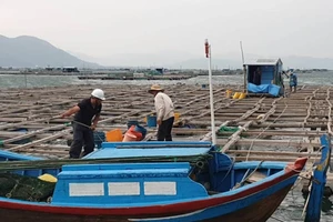 Video: Cưỡng chế người trên bè vào bờ tránh bão số 6 ở Phú Yên