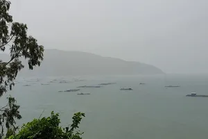 Phú Yên: mưa to, gió mạnh, sóng biển dâng cao 