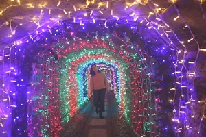 Chiêm ngưỡng đường hầm ánh sáng Giáng sinh dài nhất nước Anh