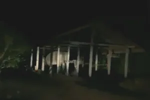 Voi vào nhà dân, đập phá để kiếm ăn