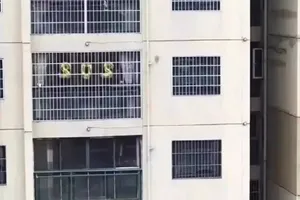 Gọi cảnh sát vì nhầm trang trí bóng bay năm '2020' là SOS