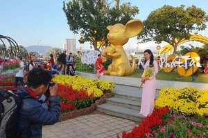 Video: Trẩy hội trên đường hoa tết ở Đà Nẵng