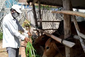 Cuộc sống của người dân thôn Văn Lâm 3 đang cách ly