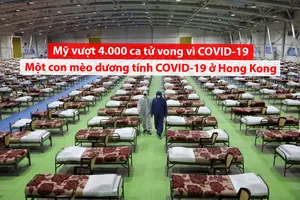 Video: Cập nhật đại dịch COVID-19 đến chiều 1-4