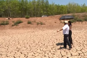 Hàng ngàn hecta khô hạn, người dân Đắk Lắk thiếu nước