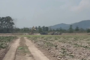 Cần chấn chỉnh tình trạng khai thác trái phép trên đất