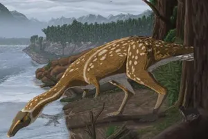 Hình ảnh mô phỏng khủng long Elaphrosaur.