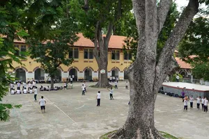 Các trường ở TP.HCM gấp rút rà soát cây xanh sau vụ cây đổ