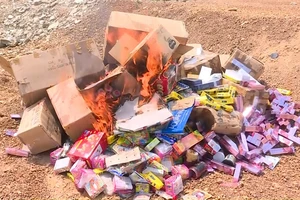 Tiêu hủy hàng loạt mặt hàng không rõ nguồn gốc xuất xứ