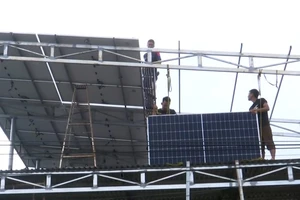 Video: Tây Nguyên ồ ạt chuyển sang đầu tư điện mặt trời