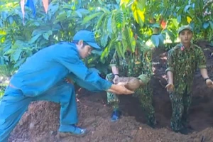 Video: Phát hiện 180 quả đạn pháo trong rẫy cà phê