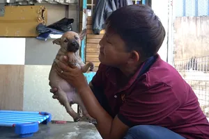 ‘Người mẹ’ của hơn 100 chú chó, mèo khuyết tật