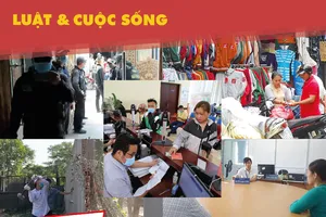 Náo nức chờ đến ngày khai tử sổ 'hậu khổ'