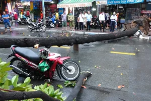 Video: Cây xanh ngã đè ô tô, xe máy trong cơn mưa lớn ở TP.HCM