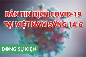 Video: Bản tin dịch COVID-19 tại Việt Nam sáng 14-6
