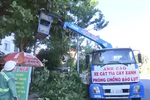 Video: Bão số 5 phức tạp, Đà Nẵng dự kiến sơ tán gần 60.000 dân