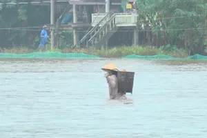  Video: Mưa lớn gây ngập lụt, sạt lở nhiều nơi ở Đắk Lắk