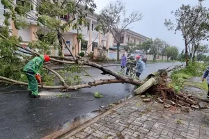 Video: Toàn cảnh miền Trung sau cơn bão lịch sử Noru