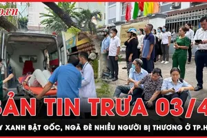 Bản tin trưa 3-4: Cây xanh bật gốc, ngã đè nhiều người bị thương ở TP.HCM