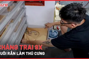 Video: Chàng trai 9X nuôi rắn làm thú cưng