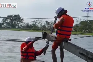 Video: Công nhân EVNNPC ngâm mình dưới nước khắc phục lưới điện sau bão số 10