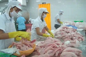 Xoài Cát Chu đã có mặt trên đất Nhật