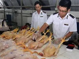 Cấm 5 chất gây ung thư trộn trong thức ăn chăn nuôi