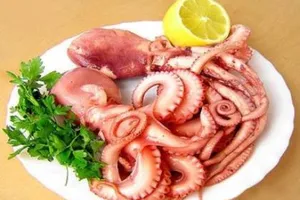 Hàn Quốc, Nhật Bản giảm nhập mực, bạch tuộc Việt Nam