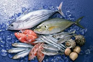 EU cảnh báo chất lượng nhiều lô hàng thủy sản Việt Nam 