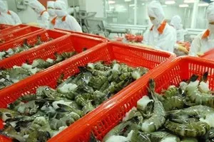 Mỹ tăng gần 5 lần thuế chống bán phá giá lên tôm Việt Nam 