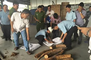 Khởi tố hình sự vụ vận chuyển 900 kg ngà voi châu Phi 