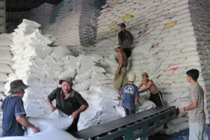 Hạt gạo Việt đang bị giấy phép 'trói chân trói tay'