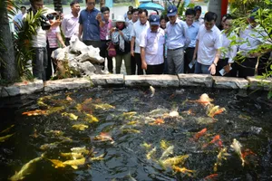 Làm cao tốc trên cao để Củ Chi phát triển du lịch 