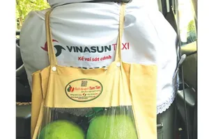 800 tài xế taxi Vinasun bán bưởi do 'sếp' trồng 
