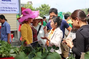 Chợ đầu mối lớn nhất vùng Đông Nam bộ đi vào hoạt động