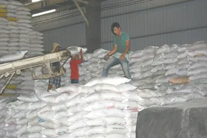 Việt Nam trúng gói thầu xuất khẩu gần 200.000 tấn gạo 