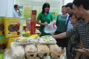 Nhà thông minh, nấm sạch Việt kiếm tiền tỉ nhờ vườm ươm